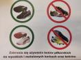 Zdjęcia butów i napis: Zabrania się używania butów piłkarskich na wysokich i metalowych korkach oraz kolców.